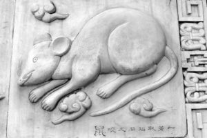kitajski horoskop podgana