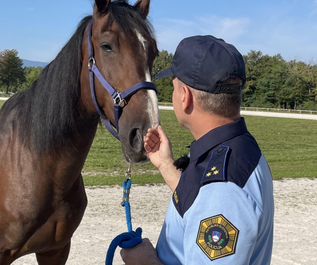 Policijski-konj