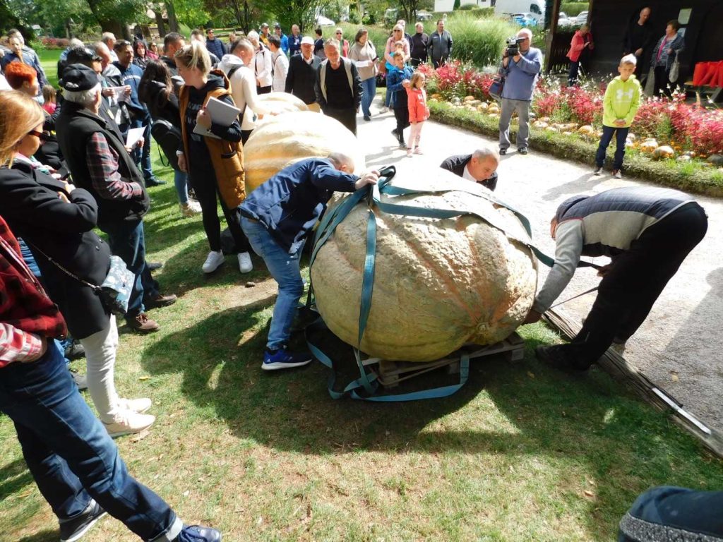 mozirski gaj tekmovanje najtežja buča