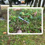 Bralec opozarja: Odvržene injekcijske igle ogrožajo Celje