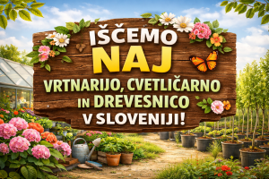naj drevesnica cvetlicarna in vrtni center